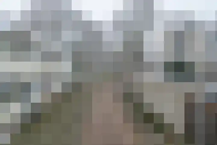 Callistopad 6 Helmond thumbnail 39