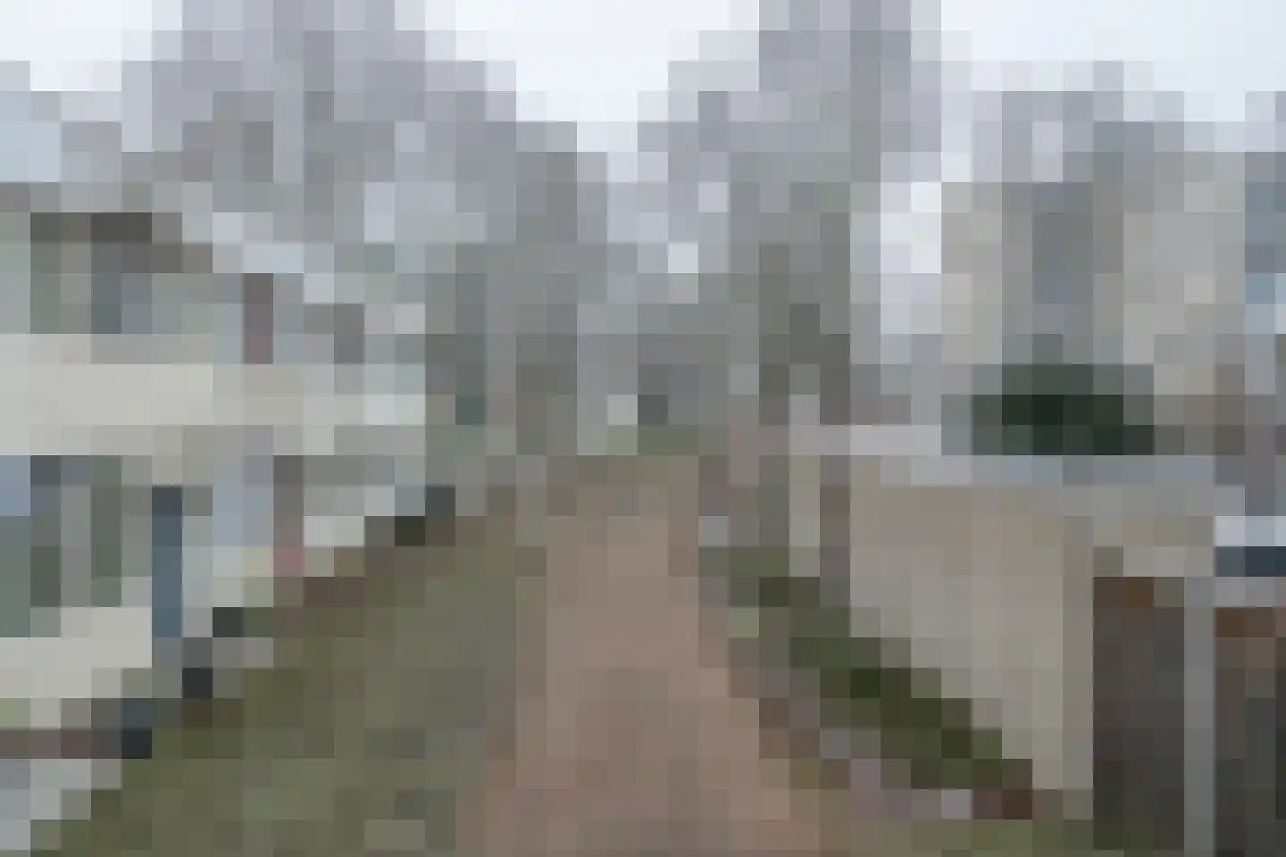 Callistopad 6 Helmond thumbnail 39