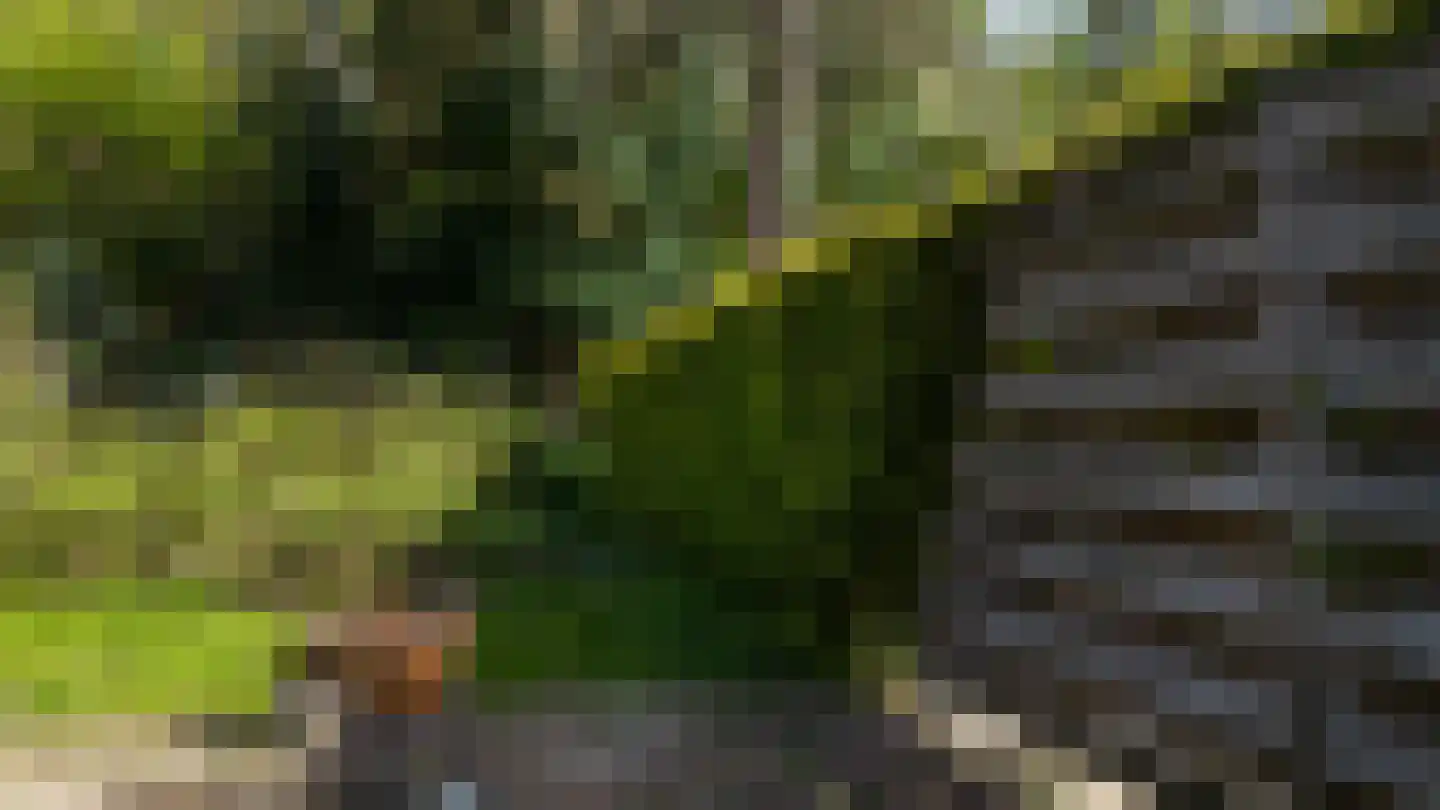 Callistusstraat 21 Kerkrade thumbnail 20