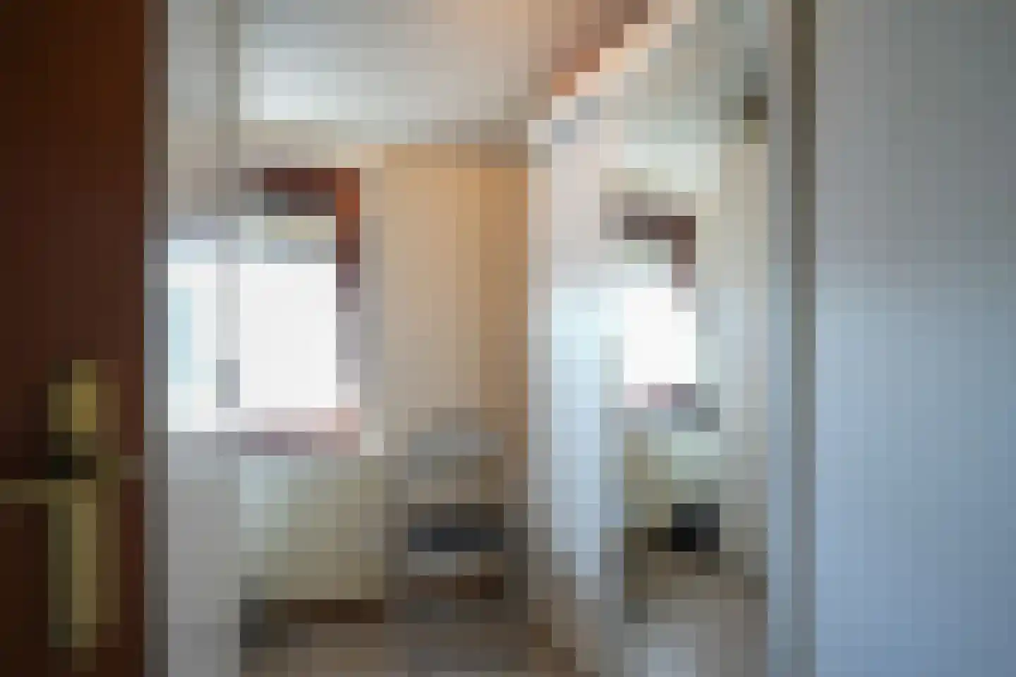 Callistusstraat 46 Kerkrade thumbnail 18