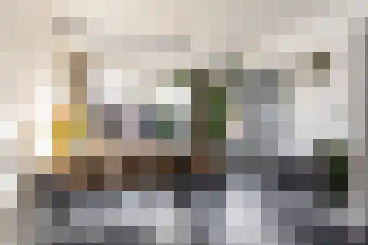 Calluna 10 Oost West en Middelbeers thumbnail 13