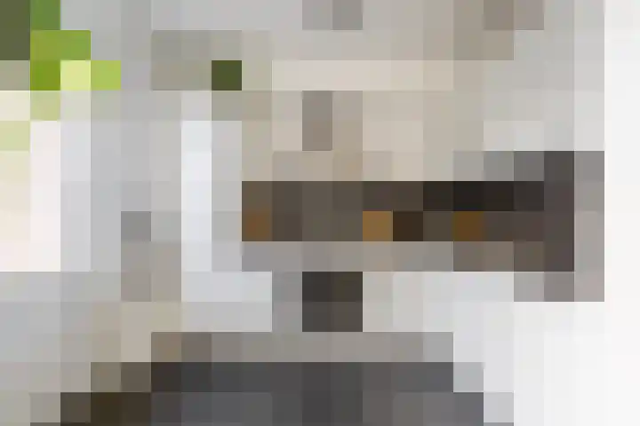Calluna 10 Oost West en Middelbeers thumbnail 15