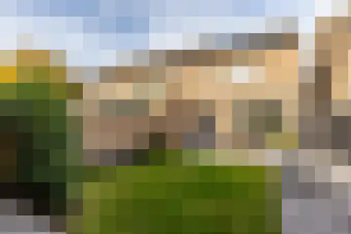 Calluna 10 Oost West en Middelbeers thumbnail 31