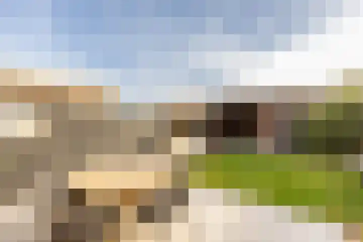 Calluna 10 Oost West en Middelbeers thumbnail 33