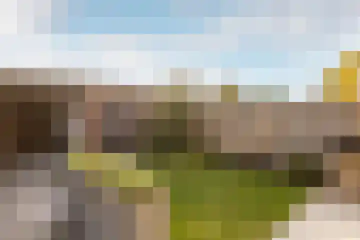 Calluna 10 Oost West en Middelbeers thumbnail 36