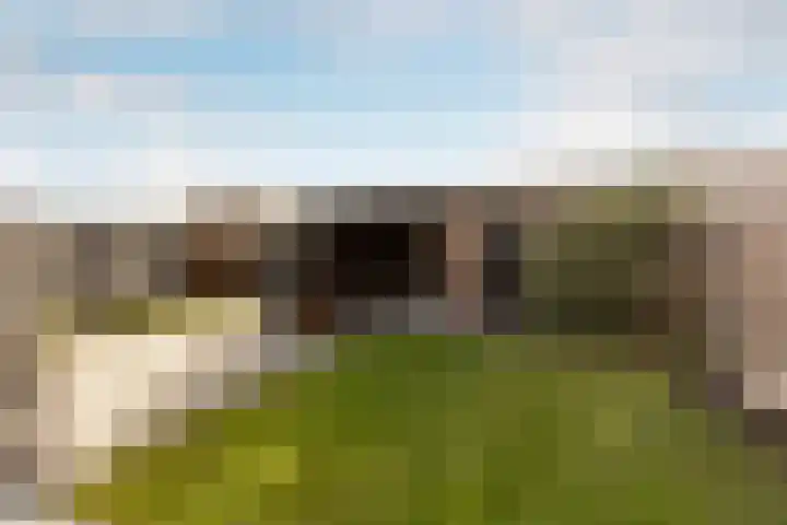 Calluna 10 Oost West en Middelbeers thumbnail 37