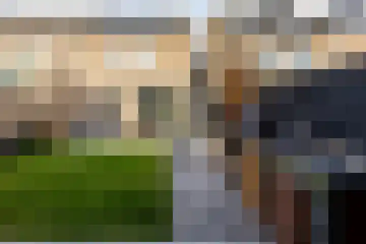 Calluna 10 Oost West en Middelbeers thumbnail 38