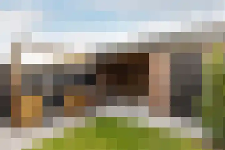 Calluna 10 Oost West en Middelbeers thumbnail 39