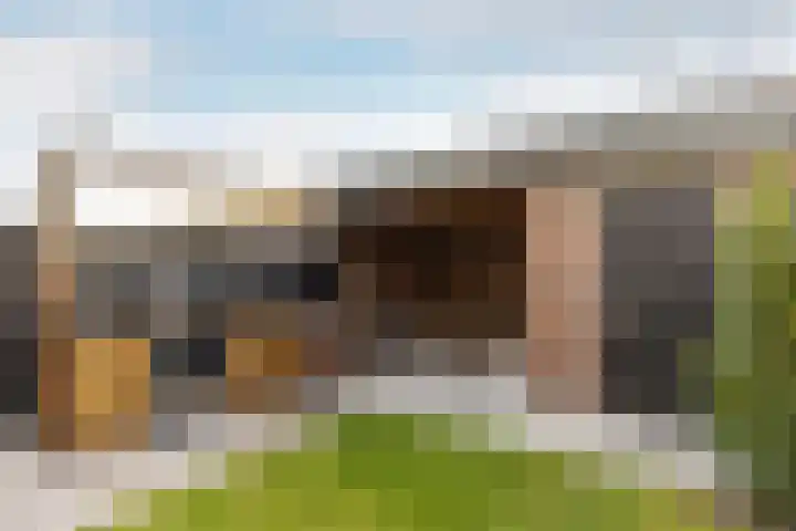 Calluna 10 Oost West en Middelbeers thumbnail 4
