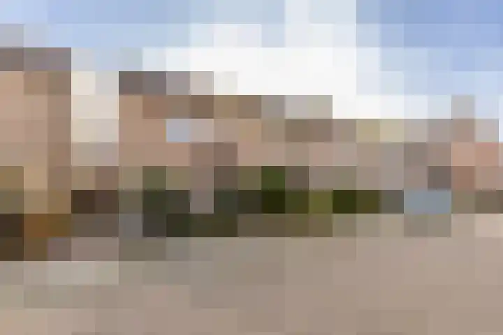 Calluna 10 Oost West en Middelbeers thumbnail 5