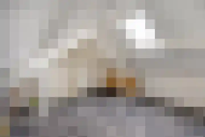 Calluna 20 Oost West en Middelbeers thumbnail 27
