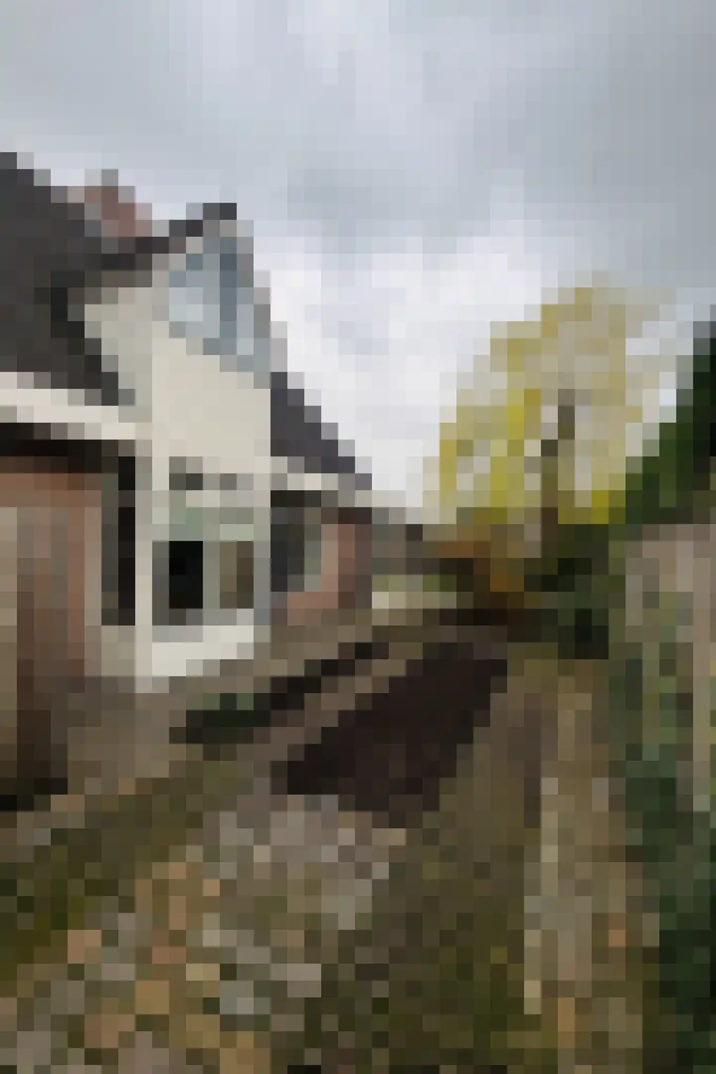 Calluna 4 Oost West en Middelbeers thumbnail 38