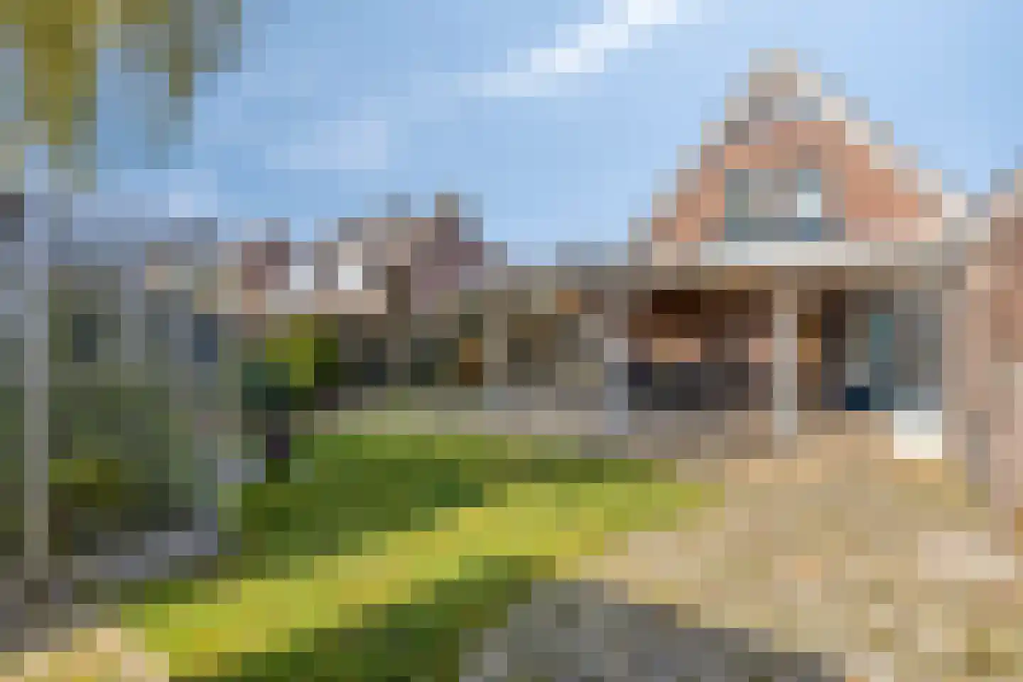 Calluna 4 Oost West en Middelbeers thumbnail 5