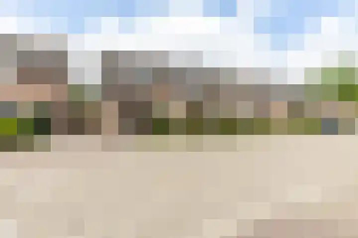 Calluna 42 Oost West en Middelbeers thumbnail 36