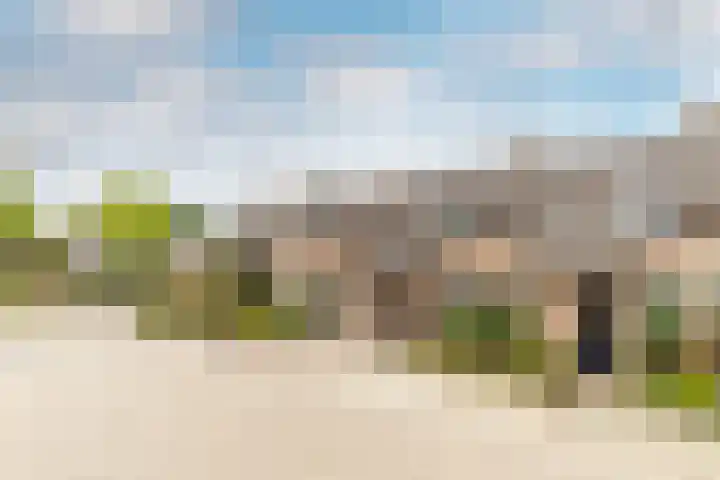 Calluna 42 Oost West en Middelbeers thumbnail 37