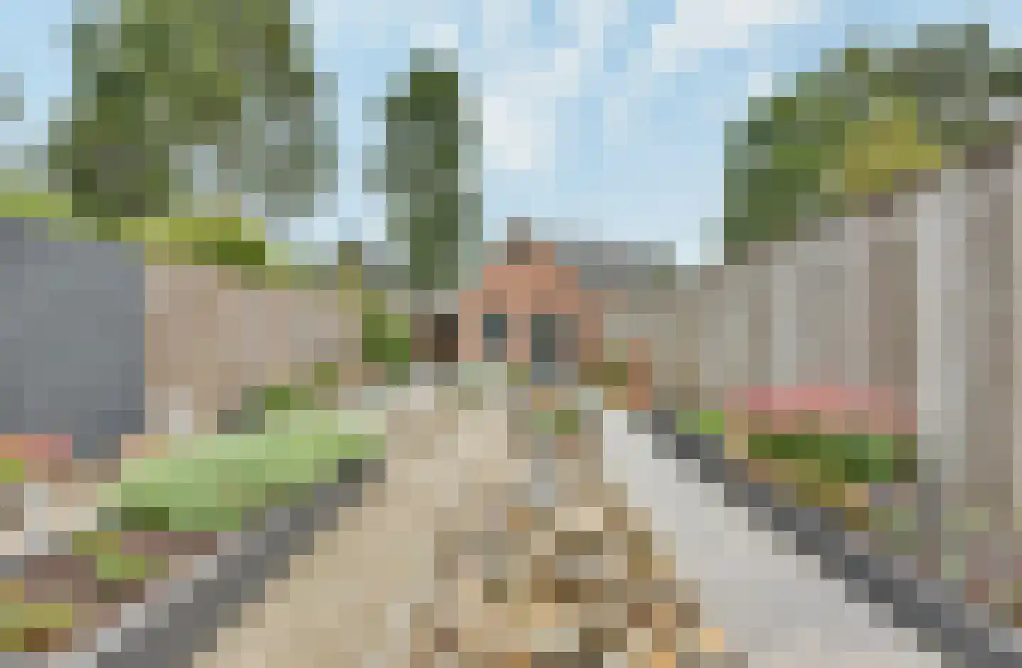 Calluna 69 Oost West en Middelbeers thumbnail 13