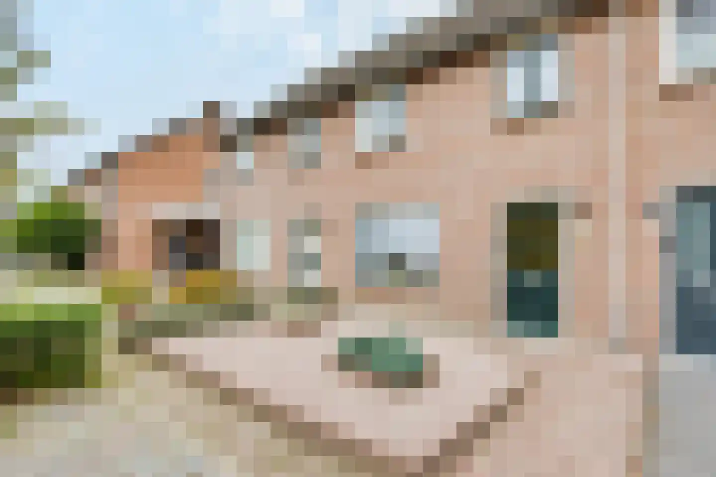 Calluna 69 Oost West en Middelbeers thumbnail 7