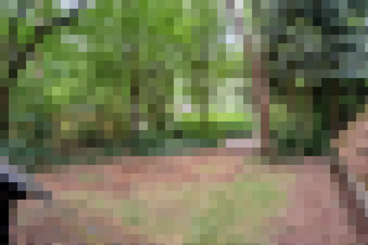 Calluna Oost 45 Ommen thumbnail 4