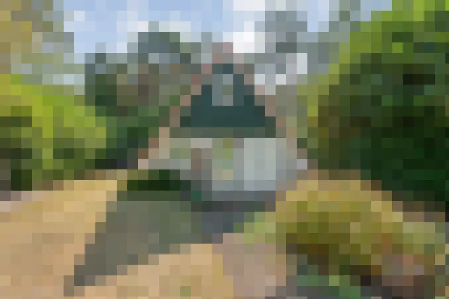 Calluna Oost 58 Ommen thumbnail 14