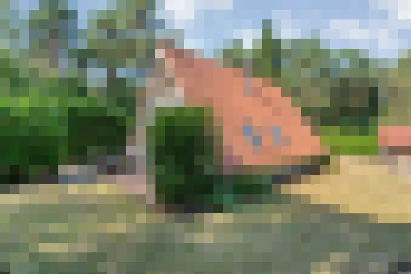 Calluna Oost 58 Ommen thumbnail 45