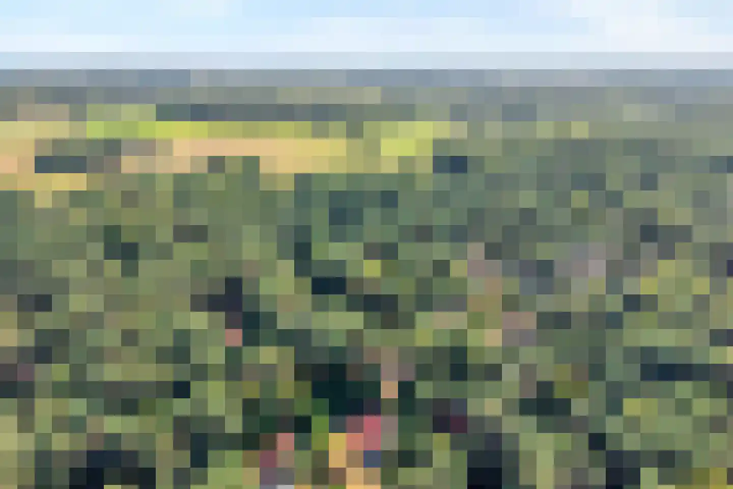 Calluna Oost 58 Ommen thumbnail 6