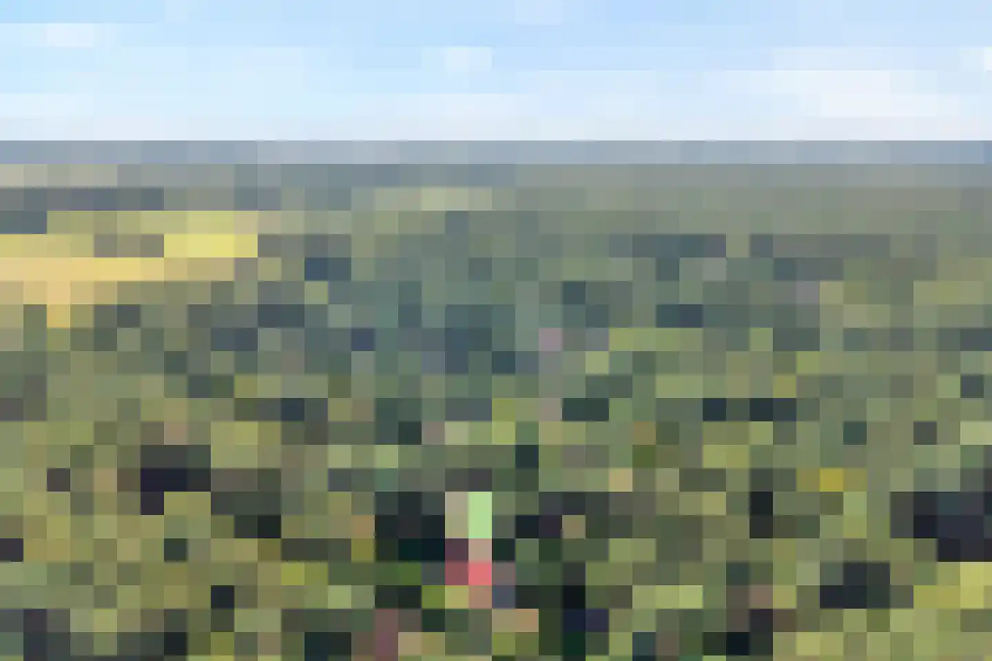 Calluna Oost 58 Ommen thumbnail 7