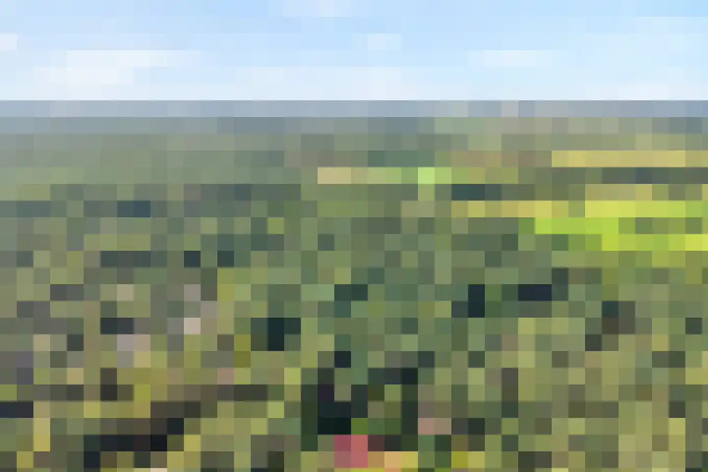 Calluna Oost 58 Ommen thumbnail 8