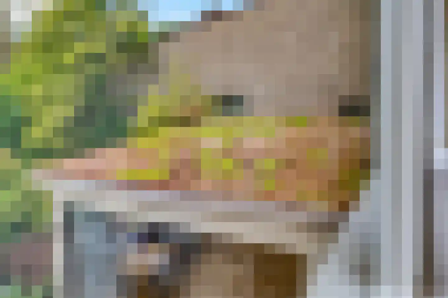 Callunaheuvel 4 Leersum thumbnail 15