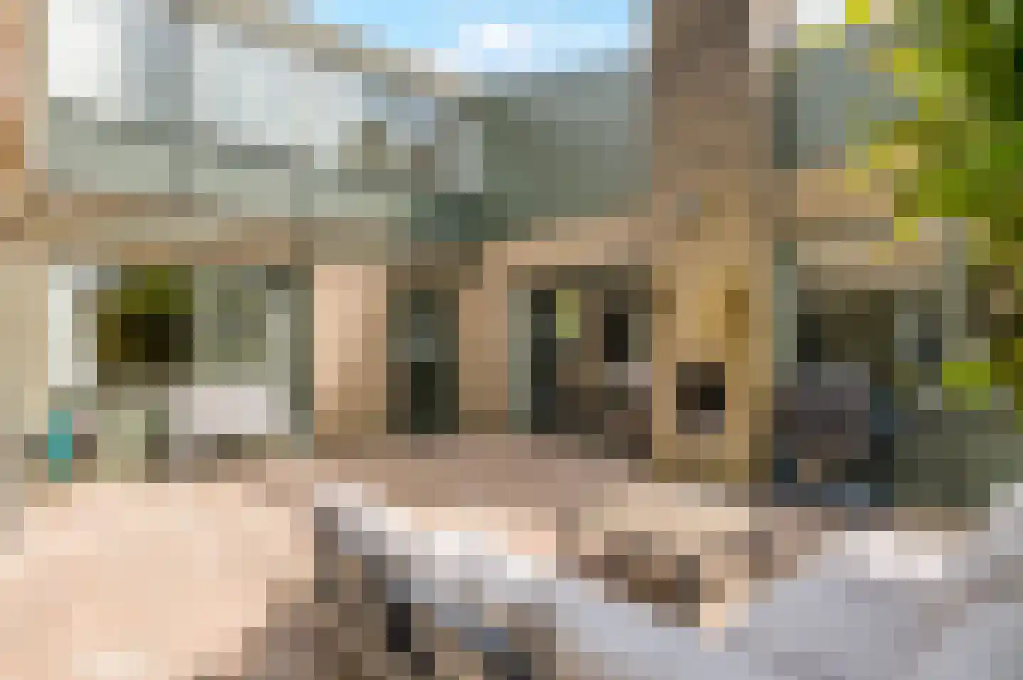 Callunaheuvel 4 Leersum thumbnail 24