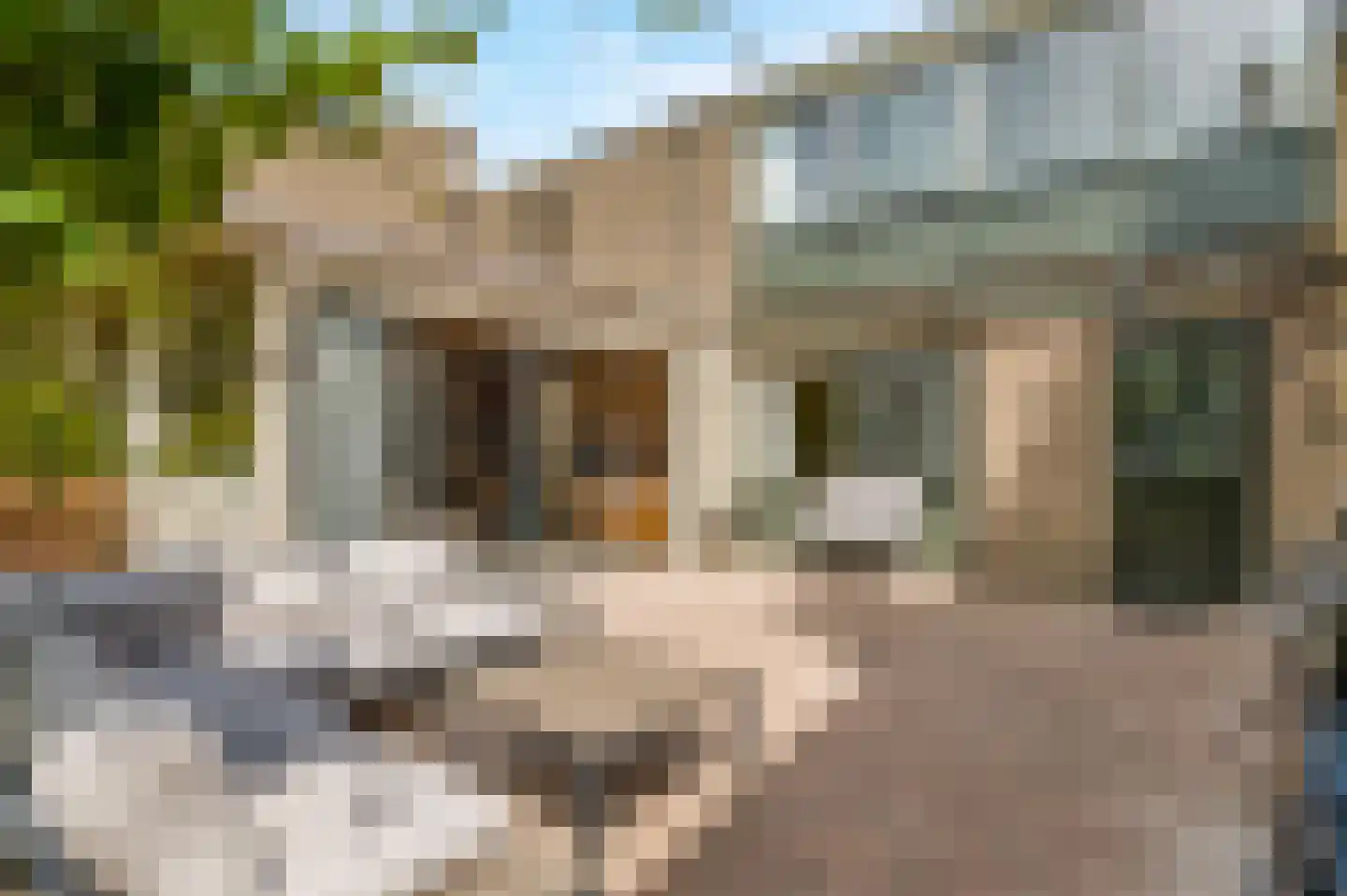 Callunaheuvel 4 Leersum thumbnail 25