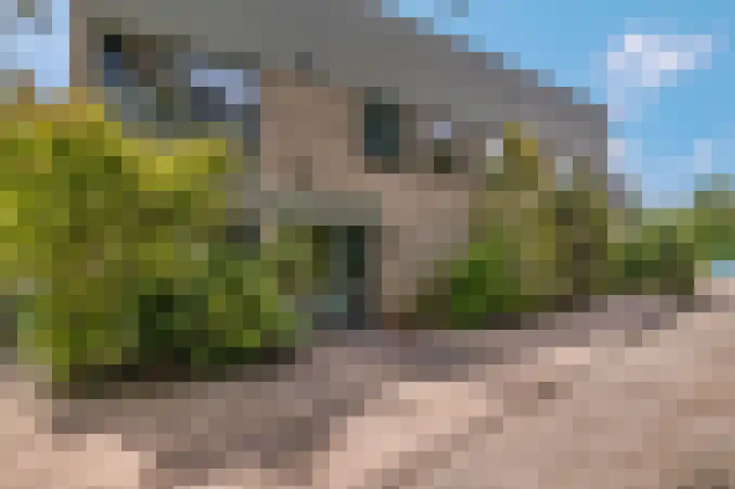 Callunaheuvel 4 Leersum thumbnail 32