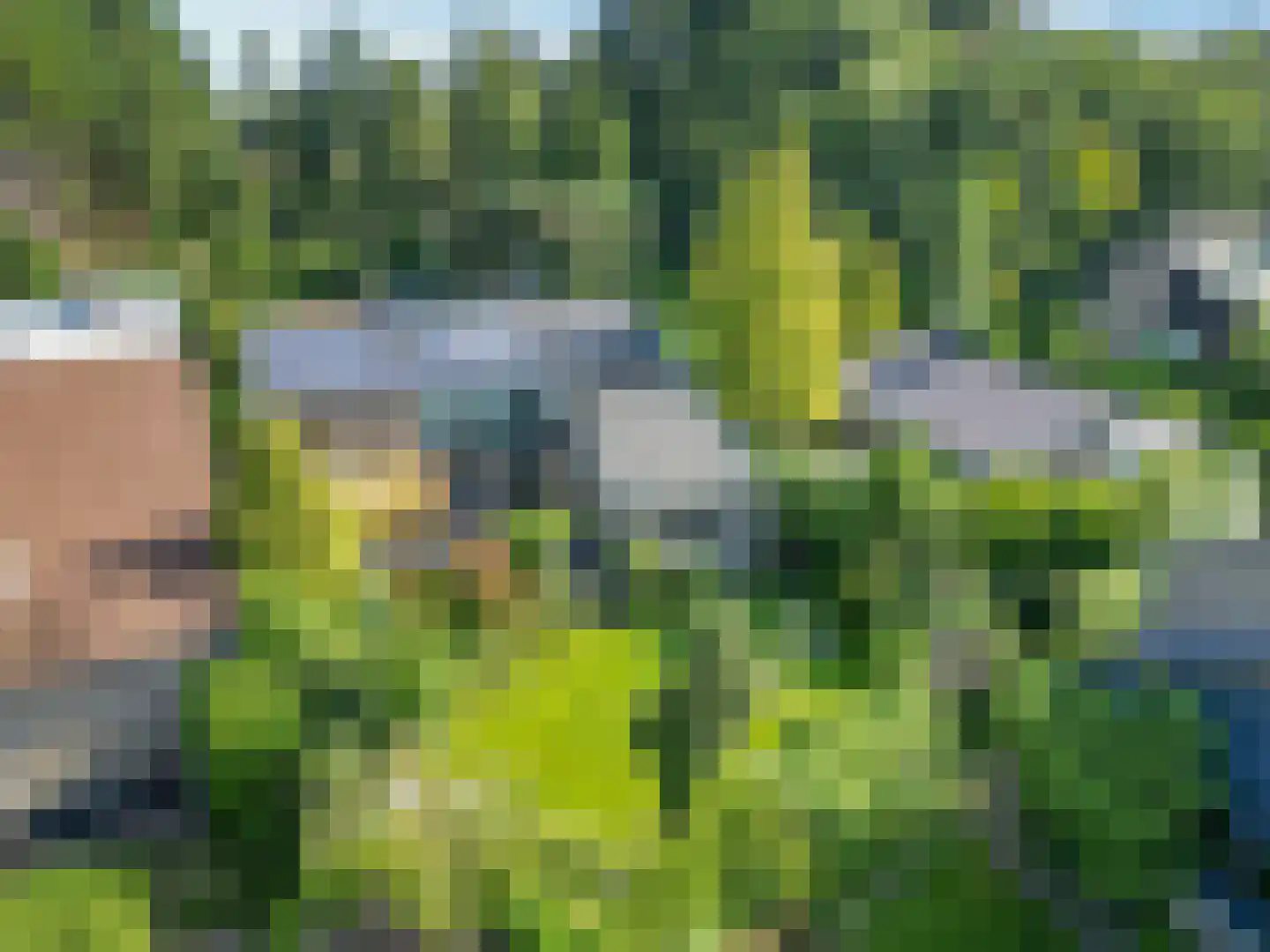 Callunaheuvel 4 Leersum thumbnail 33