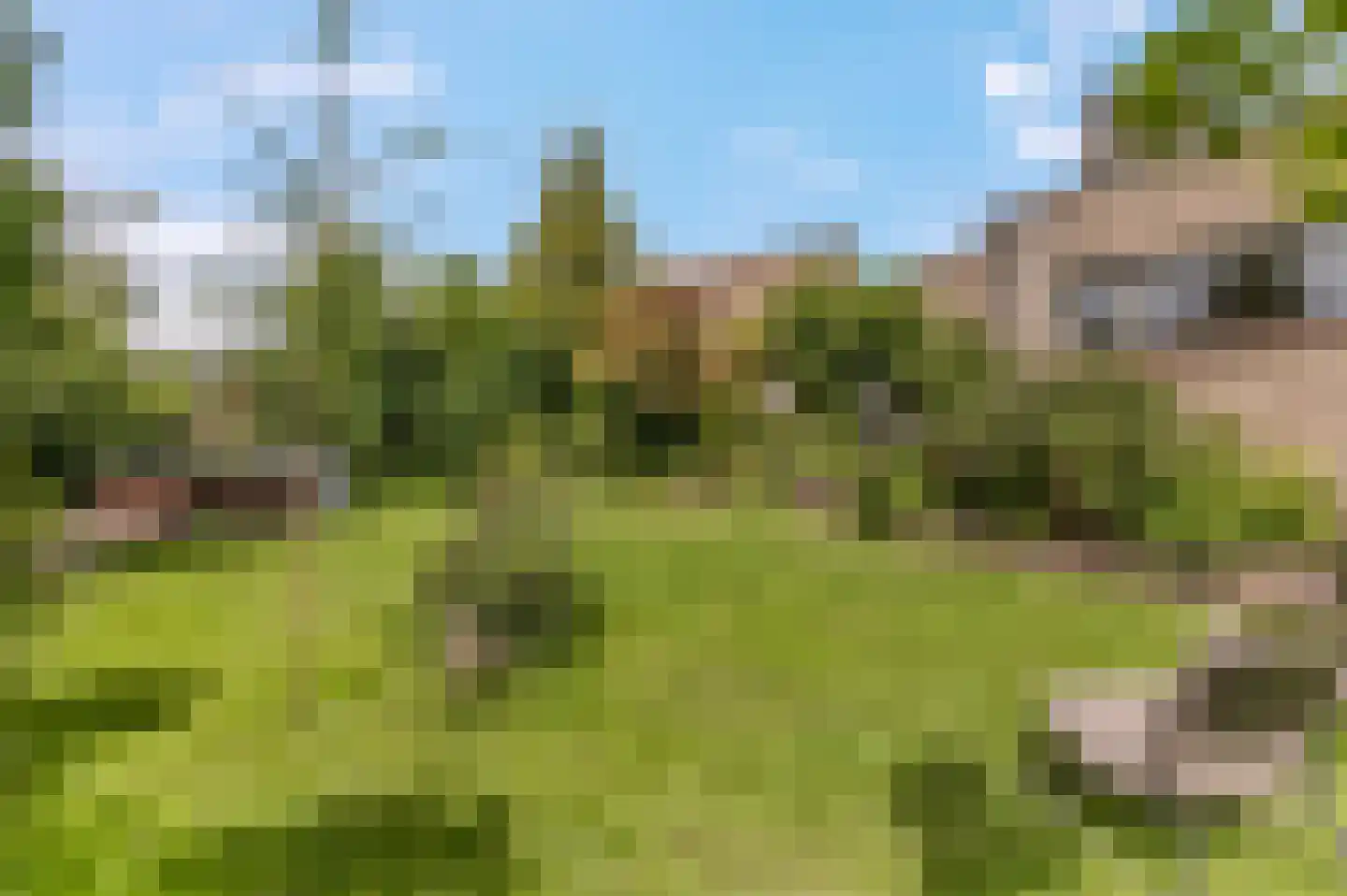Callunaheuvel 4 Leersum thumbnail 4