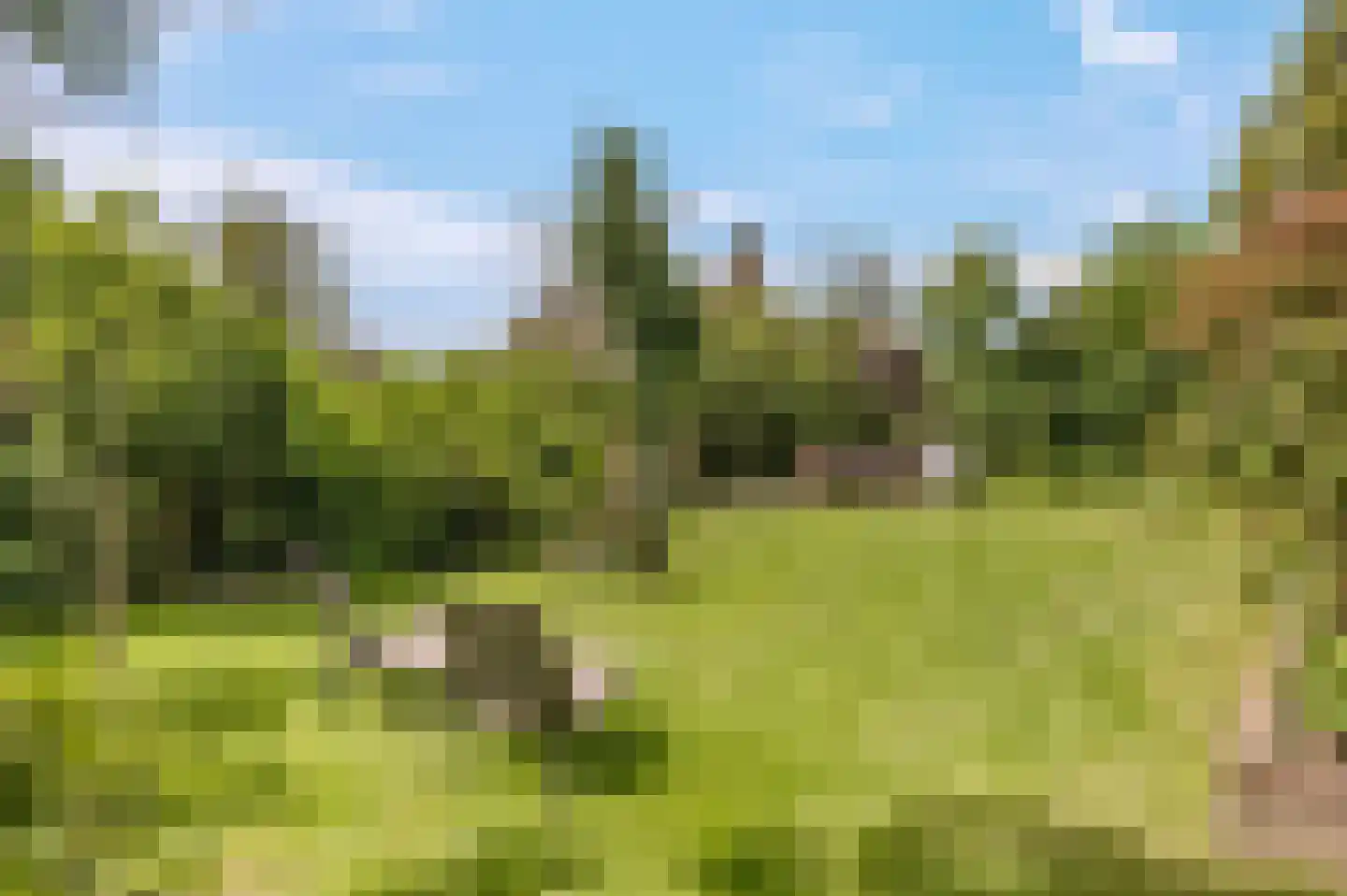 Callunaheuvel 4 Leersum thumbnail 5