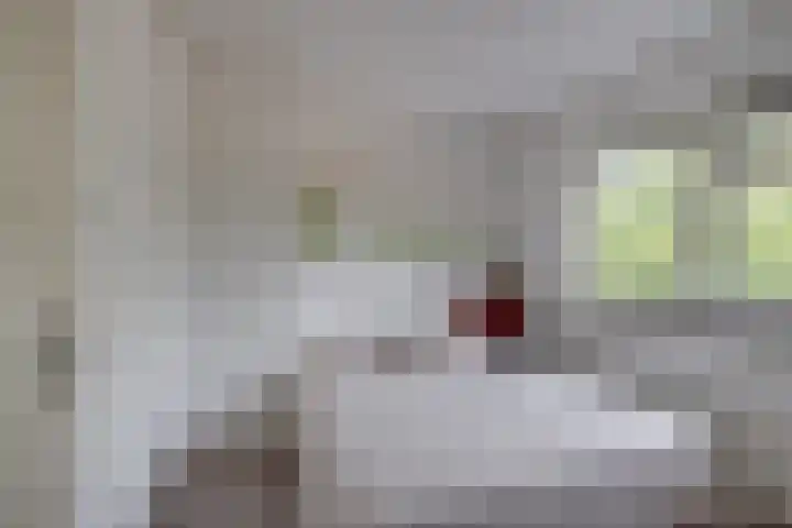 Callunahof 17 Harfsen thumbnail 12