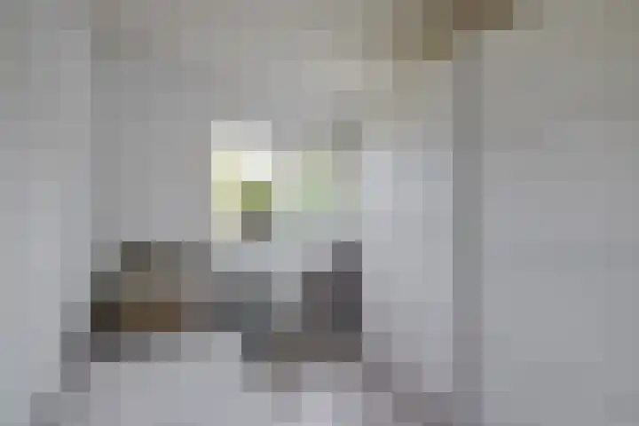 Callunahof 17 Harfsen thumbnail 13