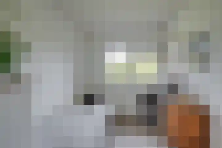 Callunahof 17 Harfsen thumbnail 14
