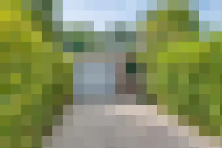 Callunahof 17 Harfsen thumbnail 19