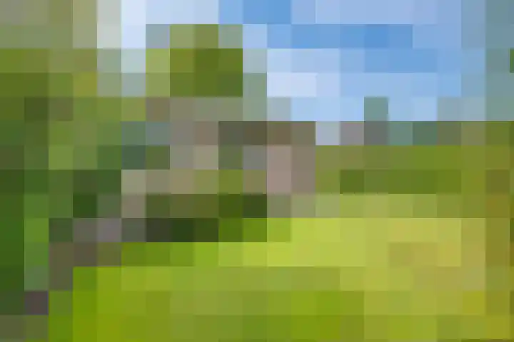 Callunahof 17 Harfsen thumbnail 20