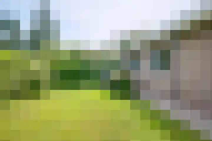 Callunahof 17 Harfsen thumbnail 21