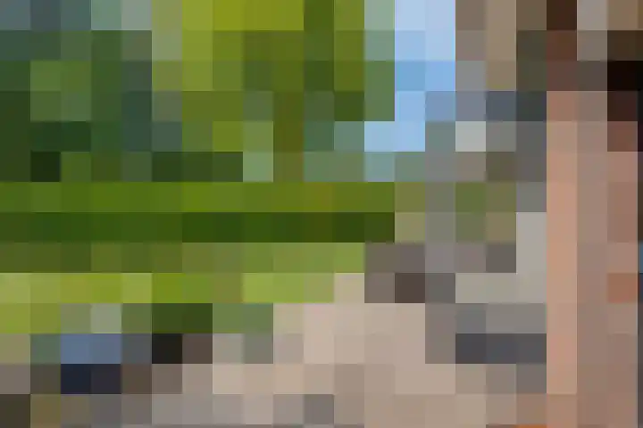 Callunahof 17 Harfsen thumbnail 24