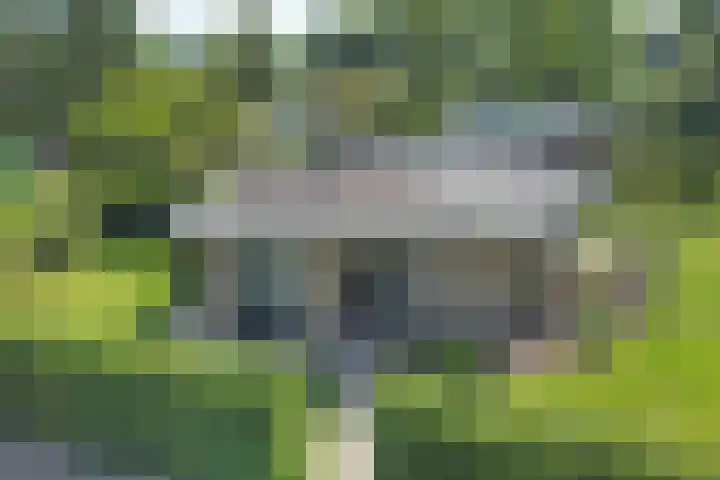 Callunahof 17 Harfsen thumbnail 25