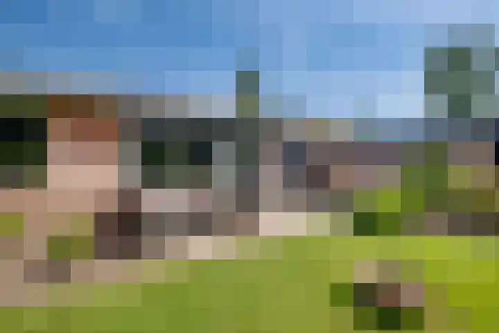 Callunahof 17 Harfsen thumbnail 26