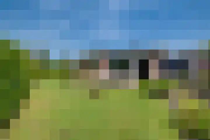 Callunahof 17 Harfsen thumbnail 30