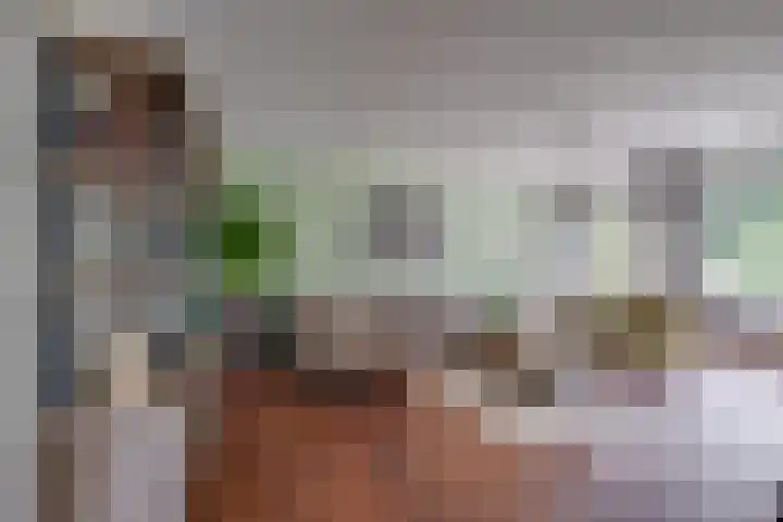 Callunahof 17 Harfsen thumbnail 4
