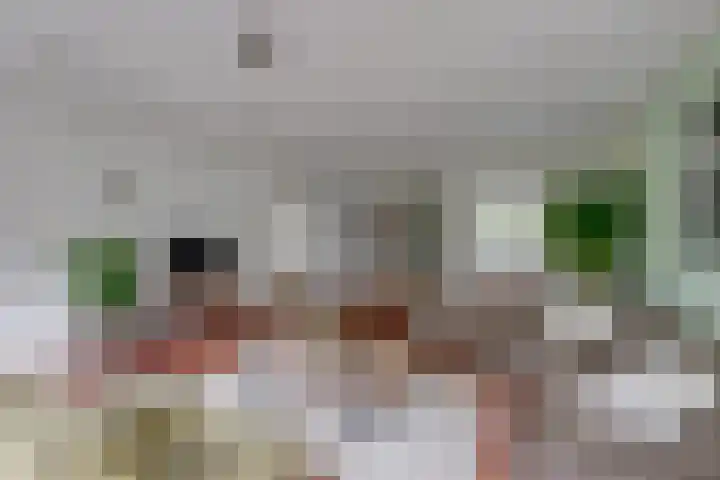 Callunahof 17 Harfsen thumbnail 7