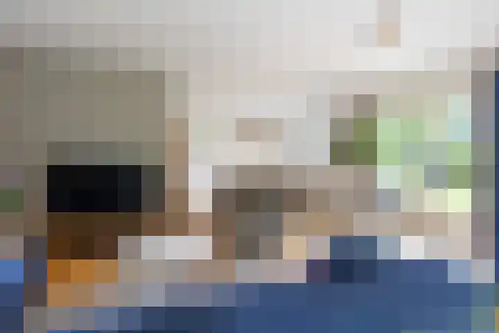 Callunalaan 3 Apeldoorn thumbnail 12