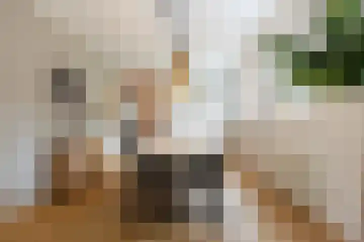 Callunalaan 3 Apeldoorn thumbnail 13
