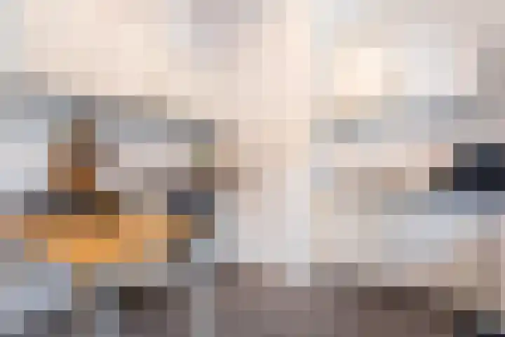 Callunalaan 3 Apeldoorn thumbnail 15