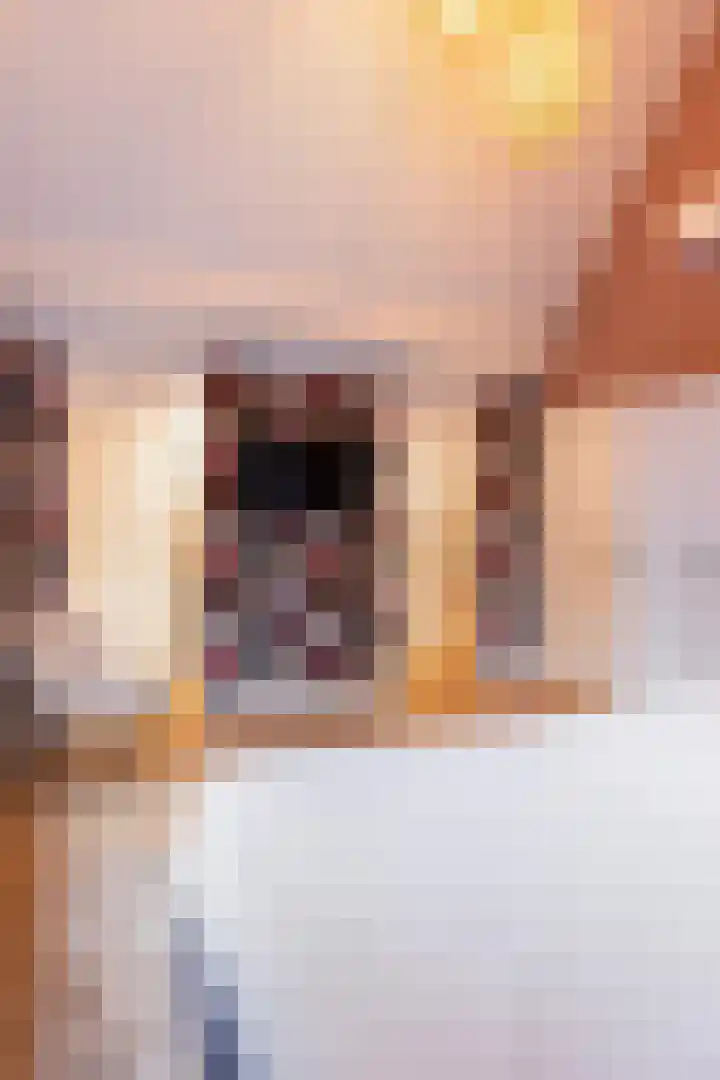 Callunalaan 3 Apeldoorn thumbnail 24